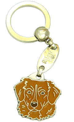 RETRIEVER DE NUEVA ESCOCIA MARRÓN - Placa grabada, placas identificativas para perros grabadas MjavHov.